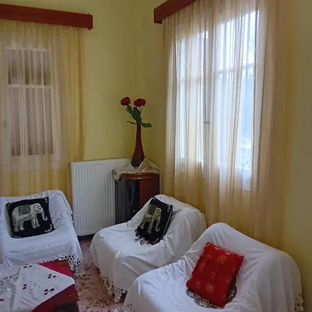 Traditional House In Aigio * Dhiyeliotika